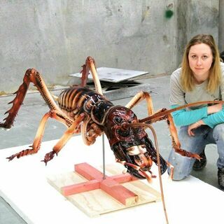 Puke Ariki Museum - Specimen Model
