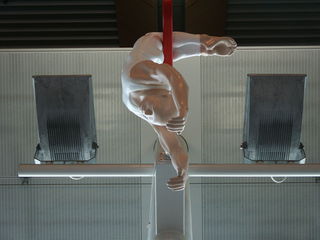 The acrobats hanging in Wellington airport.