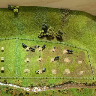 Feildays - Ag Research Scale Model