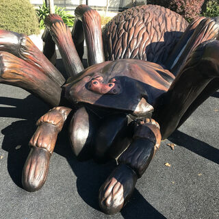 Wellington Zoo - Sculpture Painting